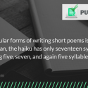 interesting fact about poems